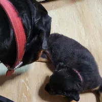 processed/48a287cc-d1f0-4b44-9075-b895ae7394fd/facility/807c5f3f-82c2-4db2-9645-c45debc9d632