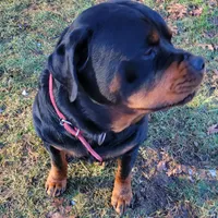 processed/48a287cc-d1f0-4b44-9075-b895ae7394fd/facility/a90d831d-f703-4f55-99c2-0f7c5d6f1cd7