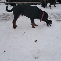 processed/48a287cc-d1f0-4b44-9075-b895ae7394fd/facility/cb76323e-8f02-40c8-9fbf-e92f2647e3b1