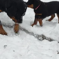 processed/48a287cc-d1f0-4b44-9075-b895ae7394fd/facility/ea52d5b7-d306-43c4-90b4-c8cbfd604187