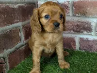 processed/48a5719f-500e-44b6-9f17-814718151d99/listing/00ba670e-7901-4037-85f3-dbae2a6223b3/357742d6-e45f-495b-9a37-3ffff2a03fa9