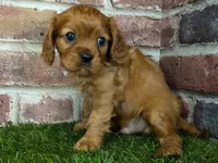 processed/48a5719f-500e-44b6-9f17-814718151d99/listing/00ba670e-7901-4037-85f3-dbae2a6223b3/ba39a24b-2061-4d8b-8c95-b1783baf6198