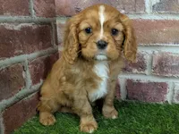 processed/48a5719f-500e-44b6-9f17-814718151d99/listing/7ed8e294-4855-4fd2-aed1-b04dba5b3e94/37e70271-ee02-4aa0-8ae8-9771c36fd350