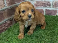 processed/48a5719f-500e-44b6-9f17-814718151d99/listing/b5b83f6c-b669-427c-9eda-fab3fef455e2/28ac97b3-3ec6-49dc-b71e-8c317ec254dc