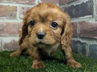 processed/48a5719f-500e-44b6-9f17-814718151d99/listing/b5b83f6c-b669-427c-9eda-fab3fef455e2/cbd5354f-146d-4e8e-a160-c99b6cfee0b6