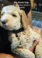 processed/48ac963a-d7d7-4392-8bfa-a5202de7ed63/facility/32301978-4684-46d7-95ae-c59e68973bb5