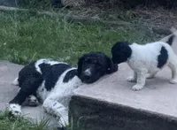 processed/48ac963a-d7d7-4392-8bfa-a5202de7ed63/facility/652df63e-2a2a-44ef-a2f7-1bb3bee5ac2f