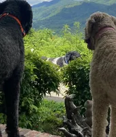 processed/48ac963a-d7d7-4392-8bfa-a5202de7ed63/facility/bf97e9d7-c60b-4099-ae4b-db749a778ef6