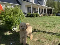 processed/48ac963a-d7d7-4392-8bfa-a5202de7ed63/facility/d15b8798-7ae5-4166-81ab-9e058b276eae