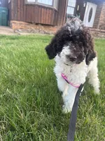 processed/48ac963a-d7d7-4392-8bfa-a5202de7ed63/facility/d68364ab-b5d0-4201-9f73-18c852bbaf96