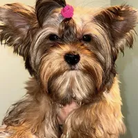 processed/48af73a1-88f0-4c77-b40e-6a1273da3749/facility/281f9a3d-8929-4020-b134-edb05787051b