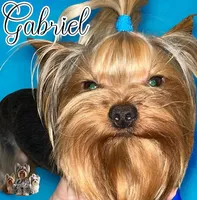 processed/48af73a1-88f0-4c77-b40e-6a1273da3749/facility/2c8da71d-165c-4374-9039-1c5cd9823d4c