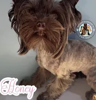 processed/48af73a1-88f0-4c77-b40e-6a1273da3749/facility/37524c4b-6320-4d5d-b8fe-8c18cf568808