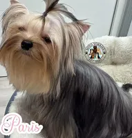 processed/48af73a1-88f0-4c77-b40e-6a1273da3749/facility/4b3e1123-3f2e-47d8-9ba4-d539080c54a3