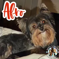 processed/48af73a1-88f0-4c77-b40e-6a1273da3749/facility/5117a054-3f6b-4e0f-b223-fbb084cad7af