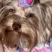 processed/48af73a1-88f0-4c77-b40e-6a1273da3749/facility/5d6be999-c7ee-46be-97af-468ba8319562