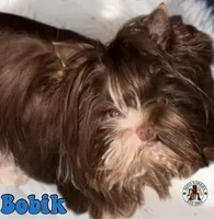 processed/48af73a1-88f0-4c77-b40e-6a1273da3749/facility/8e525689-1a6a-4388-aafe-be42256a9ec0