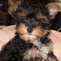 processed/48af73a1-88f0-4c77-b40e-6a1273da3749/facility/aad4006d-762d-4e72-a1d1-ffa167ecff78