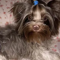 processed/48af73a1-88f0-4c77-b40e-6a1273da3749/facility/e19ee7f2-9863-4391-84df-10c32cbd5763