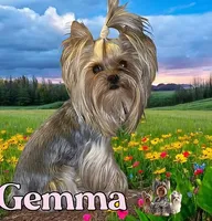 processed/48af73a1-88f0-4c77-b40e-6a1273da3749/facility/e79fa316-8bd9-4641-8155-2e0fc2c88bfa