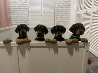 processed/48b85ad9-56d1-4adf-a1a0-4405b8a0007e/facility/147ed7d9-7968-47fe-9c34-aab4247ebcdc