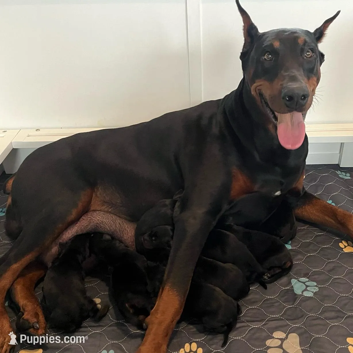 processed/48b85ad9-56d1-4adf-a1a0-4405b8a0007e/facility/2ff8b63f-6937-4773-8885-b66e2a5654a2