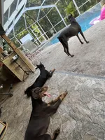 processed/48b85ad9-56d1-4adf-a1a0-4405b8a0007e/facility/51d3f50d-4810-4ff4-a35a-baf1830c8d75