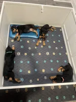 processed/48b85ad9-56d1-4adf-a1a0-4405b8a0007e/facility/5b56ac46-cf91-41ff-bfd7-510ce3634a4a