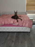 processed/48b85ad9-56d1-4adf-a1a0-4405b8a0007e/facility/761002bc-e047-4c14-bfb4-12ed691935f5