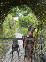 processed/48b85ad9-56d1-4adf-a1a0-4405b8a0007e/facility/76cc08d8-4d9b-43a8-99df-8ef7c00a00fd