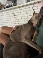 processed/48b85ad9-56d1-4adf-a1a0-4405b8a0007e/facility/7d96832a-1514-4cd3-a9ba-2975d5dc6c63