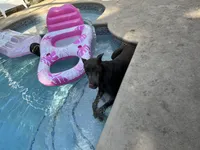 processed/48b85ad9-56d1-4adf-a1a0-4405b8a0007e/facility/b47e3830-bb4c-4d69-8f30-b5079639ebcf