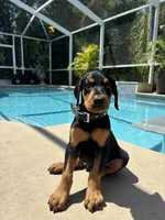 processed/48b85ad9-56d1-4adf-a1a0-4405b8a0007e/facility/cfd64fd4-a703-4a74-948f-dd072879727d