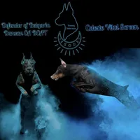 World Famous European Bloodlines- Come Cropped, a female Doberman Pinscher for sale in Tampa, FL – Photo 1 of 9