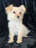 processed/48c2cf32-250a-48c2-82ae-713ecd326ebf/listing/fa096b87-2826-4209-aead-7b15a93ea09f/067769b1-7746-4dbe-bcfb-cbad86183be5