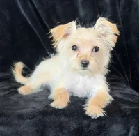 processed/48c2cf32-250a-48c2-82ae-713ecd326ebf/listing/fa096b87-2826-4209-aead-7b15a93ea09f/8712839e-97e4-4cb8-acf5-fa38d500dfbf