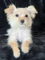 processed/48c2cf32-250a-48c2-82ae-713ecd326ebf/listing/fa096b87-2826-4209-aead-7b15a93ea09f/ab3e872a-bbe9-4c4c-93a8-c2181d69ed77