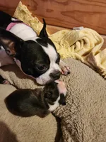 processed/48c335ed-5dd4-46a9-80ad-3d304918fd5a/listing/52801e6a-4420-42d2-97b3-79f561516d8c/24cf113d-d6b6-4b87-8b56-883f2f056474