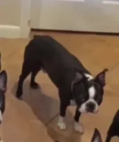 processed/48c335ed-5dd4-46a9-80ad-3d304918fd5a/listing/52801e6a-4420-42d2-97b3-79f561516d8c/3afb3acc-8f4d-45de-8abd-ab5acc4bcbab