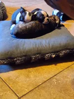 processed/48c335ed-5dd4-46a9-80ad-3d304918fd5a/listing/52801e6a-4420-42d2-97b3-79f561516d8c/ad17c9bb-619e-4ee3-892b-5256321fee03