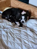 processed/48c335ed-5dd4-46a9-80ad-3d304918fd5a/listing/52801e6a-4420-42d2-97b3-79f561516d8c/ccd6aa9f-cfbd-454f-b296-f15b0751fbb8