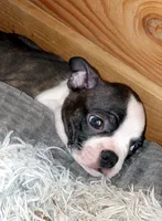 processed/48c335ed-5dd4-46a9-80ad-3d304918fd5a/listing/52801e6a-4420-42d2-97b3-79f561516d8c/d64433b7-9151-43f2-95d7-7221702e6d2e