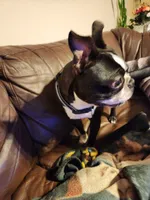 processed/48c335ed-5dd4-46a9-80ad-3d304918fd5a/listing/52801e6a-4420-42d2-97b3-79f561516d8c/d8e7fe3f-7e7d-4e97-992e-7fc6129bb8bd