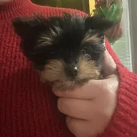 processed/48d4230b-67bb-4f38-91a3-1a99b01bf851/facility/721703f1-e451-4ed1-a7a5-c969755da278