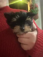 processed/48d4230b-67bb-4f38-91a3-1a99b01bf851/facility/721703f1-e451-4ed1-a7a5-c969755da278