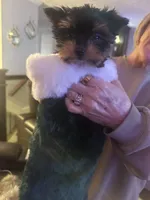 processed/48d4230b-67bb-4f38-91a3-1a99b01bf851/facility/a972be1e-ce9c-4049-a9a8-a7a3517243ac