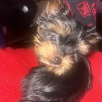 processed/48d4230b-67bb-4f38-91a3-1a99b01bf851/facility/e727f681-082d-4197-a572-0bf2082adc2f