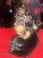 processed/48d4230b-67bb-4f38-91a3-1a99b01bf851/facility/e727f681-082d-4197-a572-0bf2082adc2f