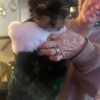 processed/48d4230b-67bb-4f38-91a3-1a99b01bf851/facility/fb74a862-dcad-4d34-ad46-b77d0ecaf2c2