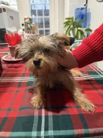 processed/48d4230b-67bb-4f38-91a3-1a99b01bf851/listing/15fa19cc-e6a9-4740-bfc6-39f424f6dbba/364cdd0b-e251-4115-9cae-c77315ff8d72